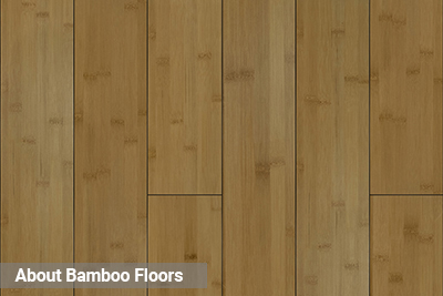 About Bamboo Floors-mobile